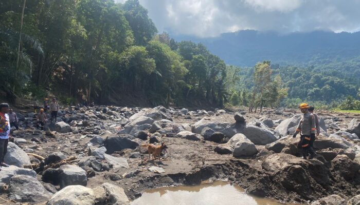 Harapan di Tengah Bencana, Tim K9 SAR Polri Diterjunkan ke NTT