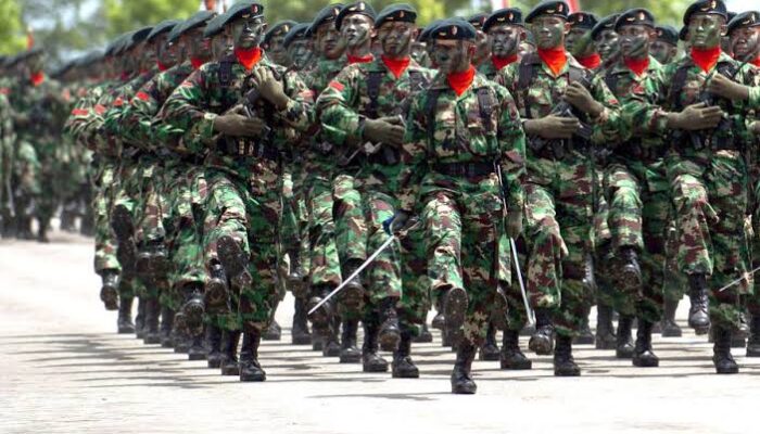 Menhan Sjafrie Dinilai Keliru soal Fungsi TNI dalam Keamanan Nasional