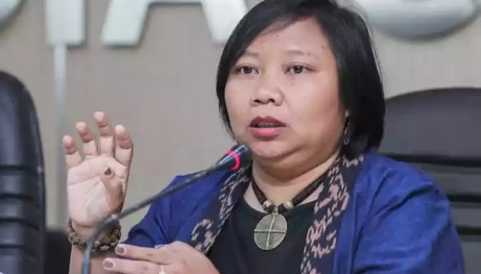 Komnas HAM: Operasi Keamanan Harus Hormati Prinsip HAM