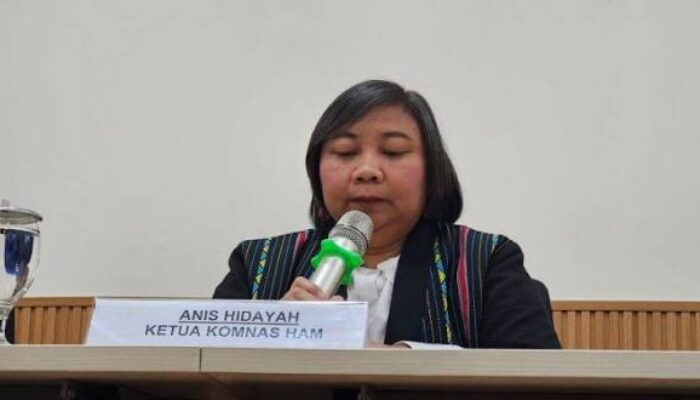 Komnas HAM Tegaskan Operasi di Puncak Papua sebagai Pelanggaran HAM