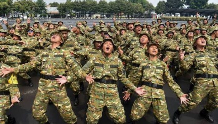 Menimbang Legalitas Pelibatan Militer dalam Program KDMP