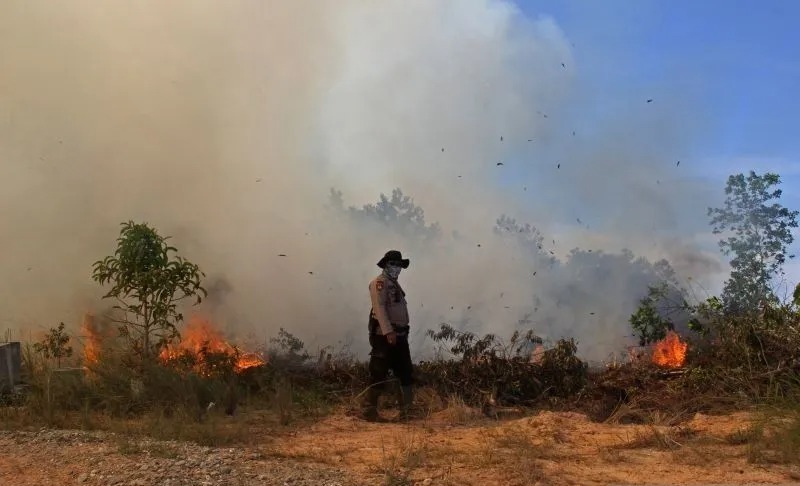 Kebakaran Hutan dan Lahan -