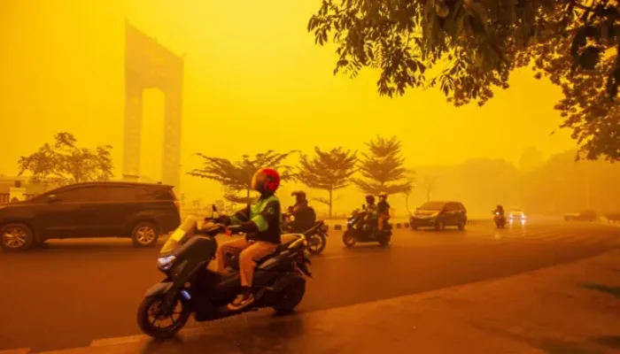 52 Perusahaan Terafiliasi Malaysia-Singapura Diduga Berkontribusi terhadap Karhutla di Indonesia