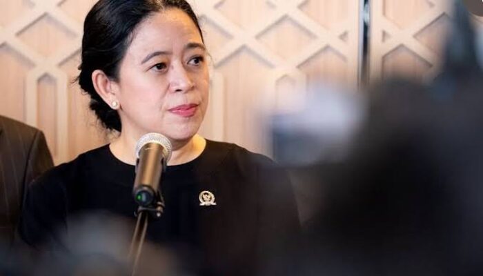 Puan Tak Tantang Aksi 25 Agustus, Hoax Sengaja Dibuat untuk Adu Domba