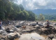 Harapan di Tengah Bencana, Tim K9 SAR Polri Diterjunkan ke NTT