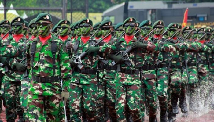Peran Ganda TNI: Ketika Fungsi Pertahanan Terkikis Kuasa