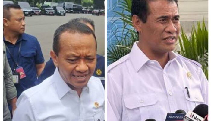 Usai Putusan MK, Dua Menteri Nyatakan Polisi Aktif Sangat Membantu di Instansi Sipil