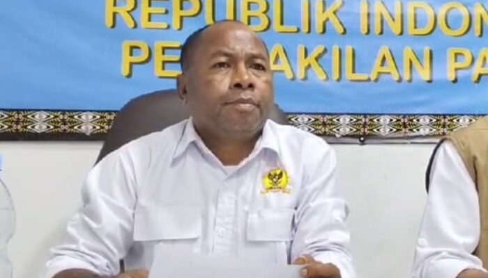 Fritz Ramandey Dorong Kolaborasi Komnas HAM dan Polri untuk Tegakkan HAM di Papua