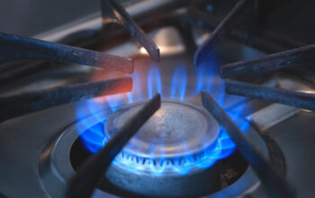 Biogas
