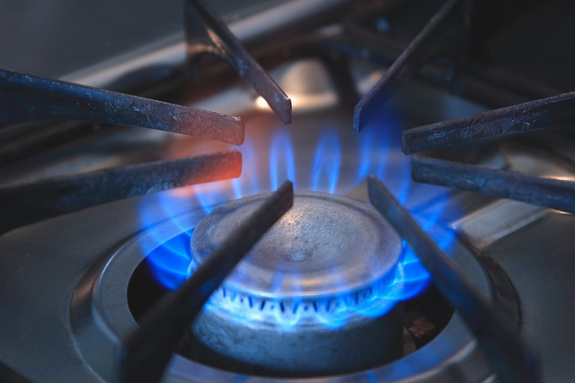 Biogas