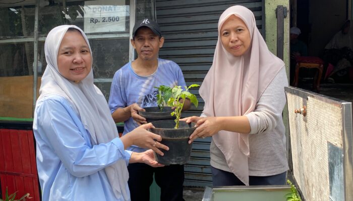 RT 11 Gandaria Utara Lahirkan Gerakan Ketahanan Pangan : Lahan Terbatas Jadi Kebun Produktif!
