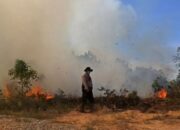 Waspada Karhutla dan Kemarau Panjang, Permana Irmansyah Tekankan Mitigasi Berbasis Komunitas