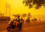 52 Perusahaan Terafiliasi Malaysia-Singapura Diduga Berkontribusi terhadap Karhutla di Indonesia